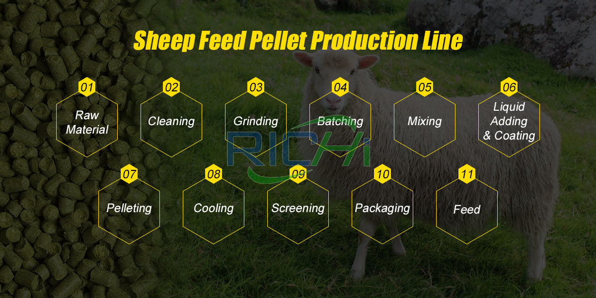 Sheep feed production process