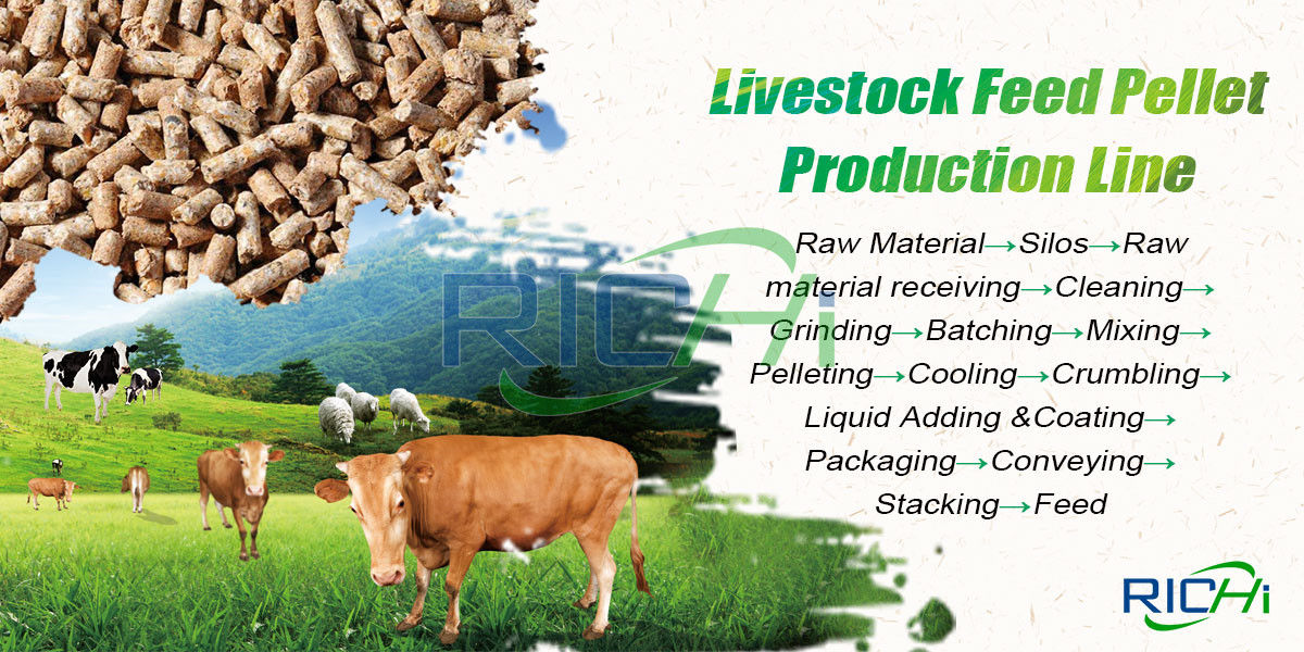 Livestock feed making process