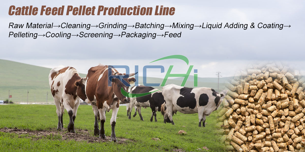 Cattle feed manufacturing process