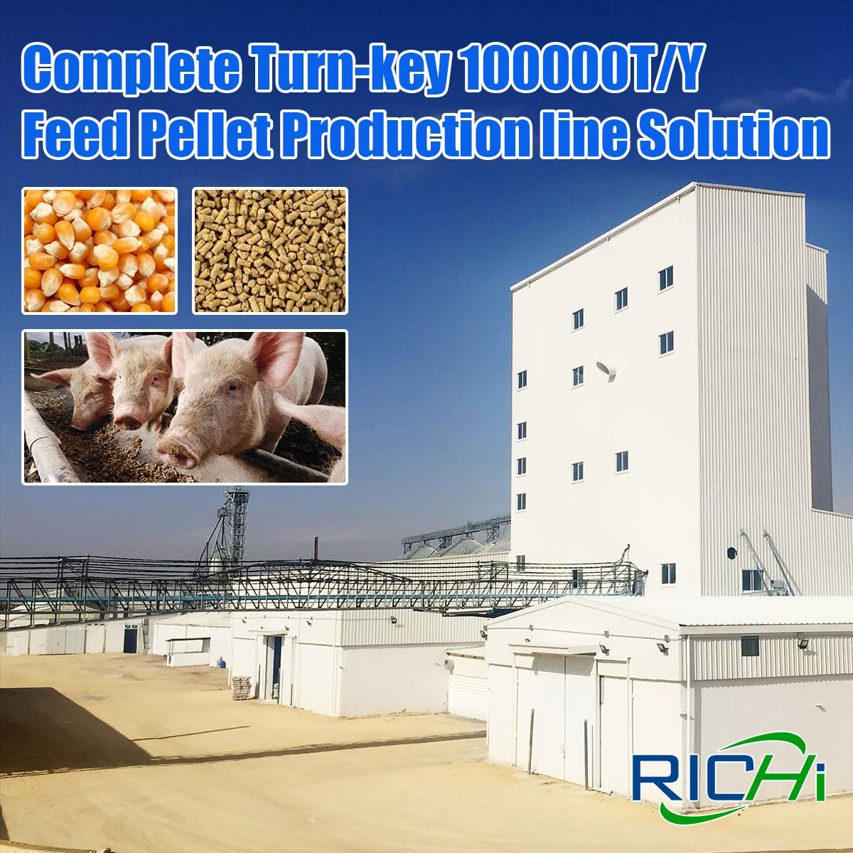 complete pig feed plant