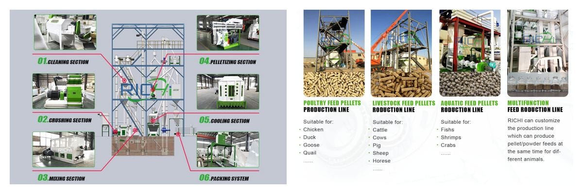 Establish a complete animal feed pellet production line