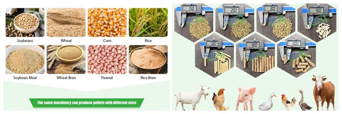 textured drying process food waste to feed animals animal feed mill plant