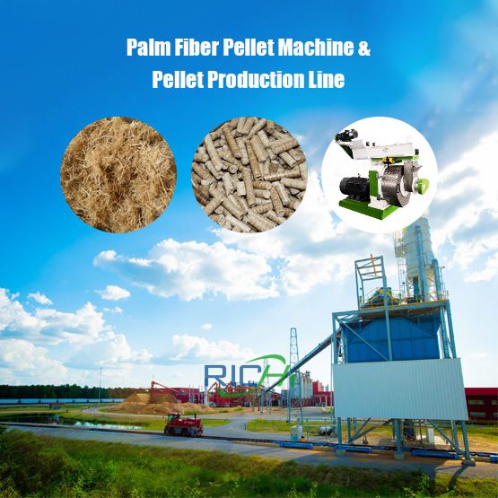 Palm Fiber Pellet Machine