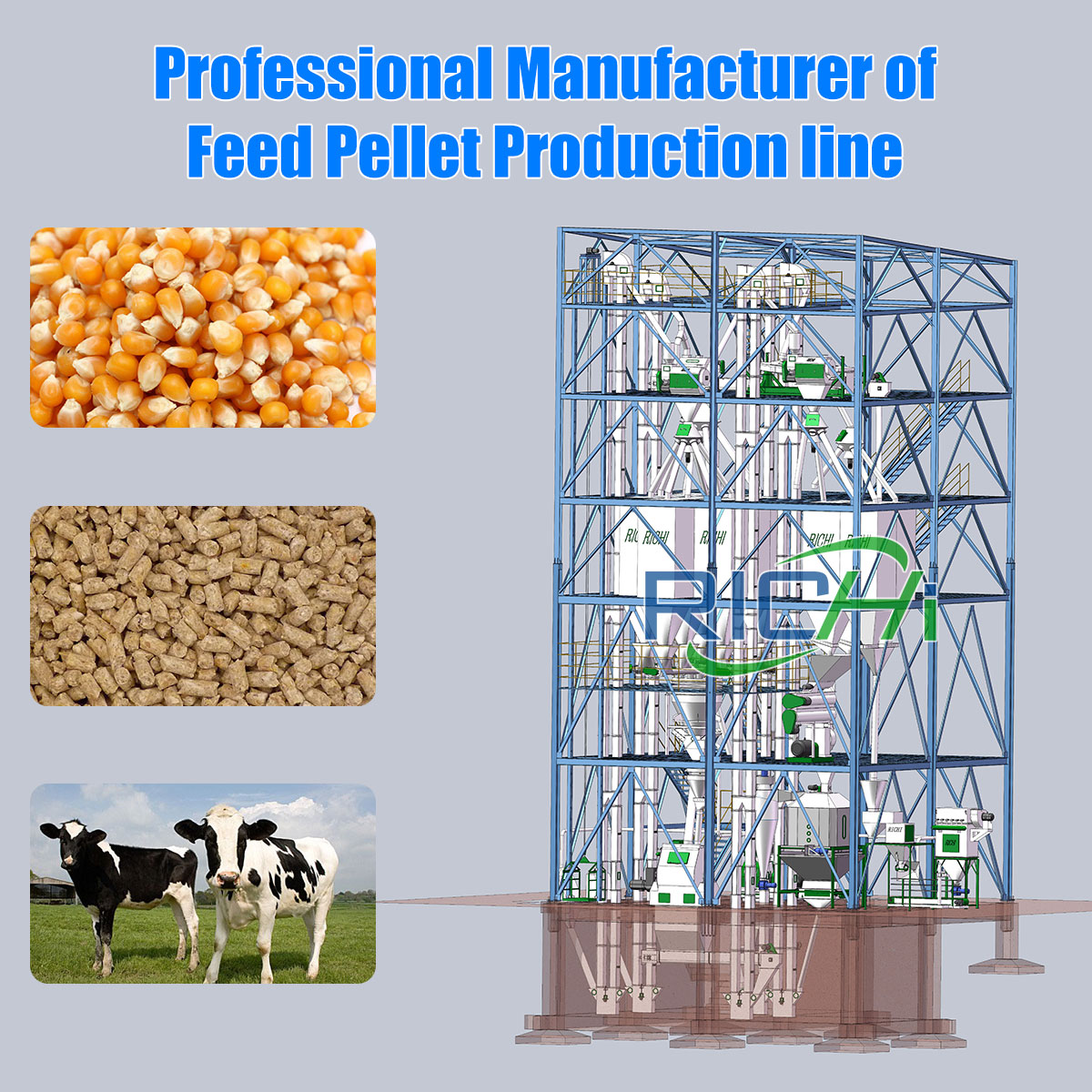 Cattle Feed Pellet Production Line