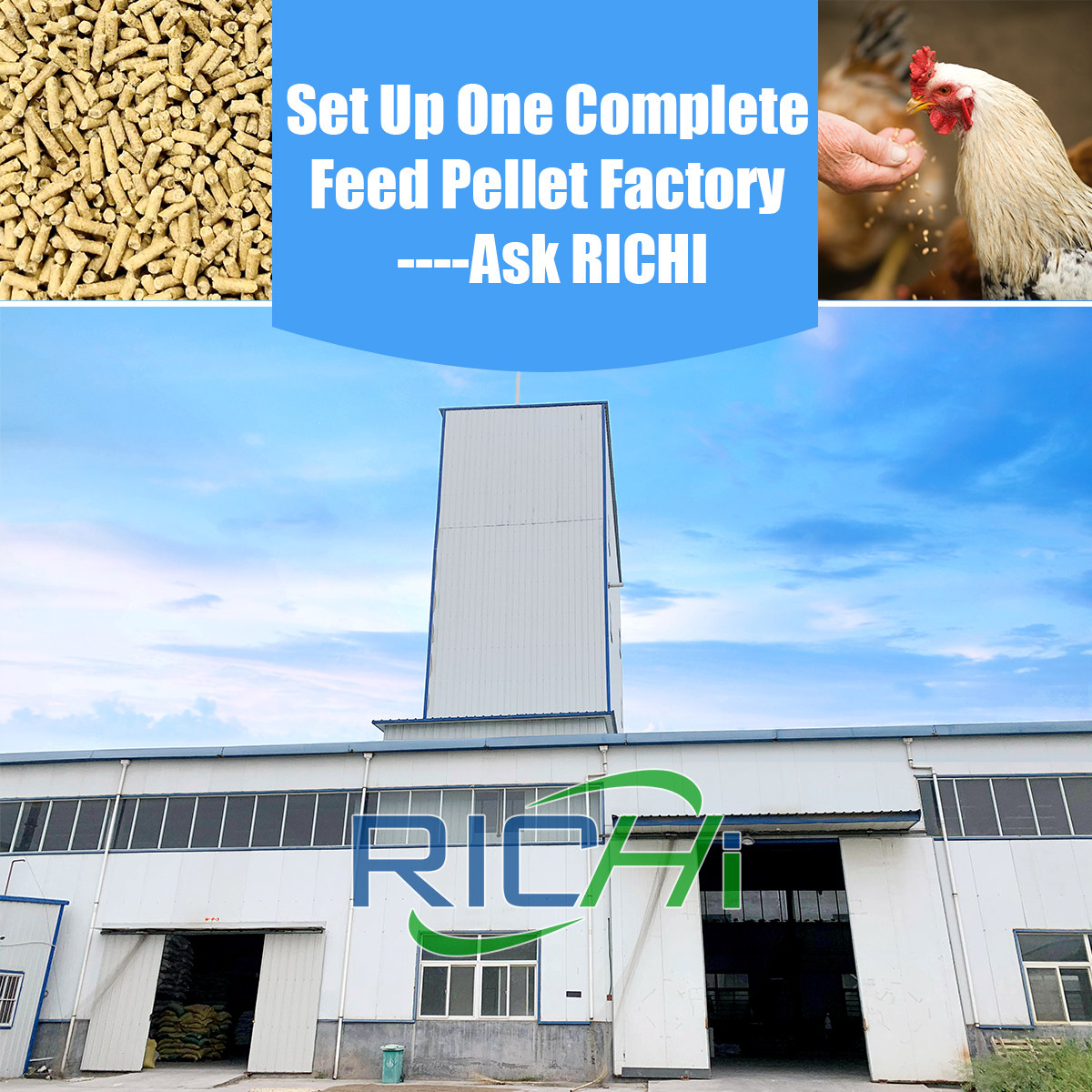 Poultry Feed Production Line