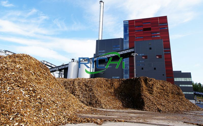 2-2.5 T/H Wood Pellet Production Line In Russia