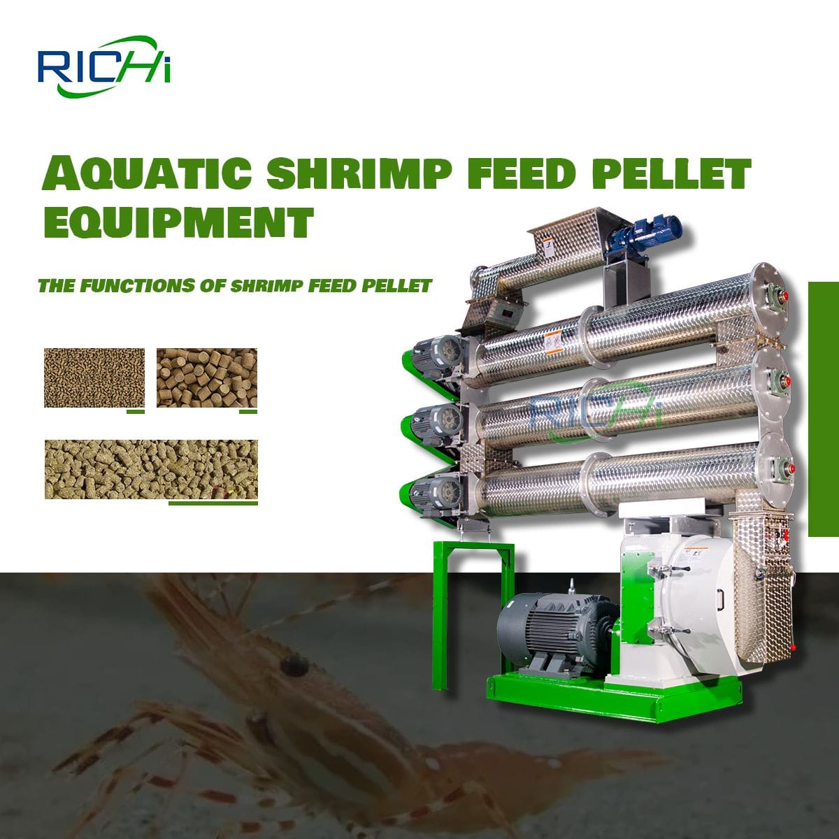 Shrimp Feed Pellet Machine