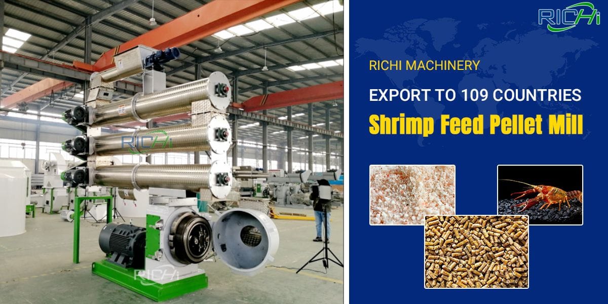 shrimp feed making machine supplier in china
