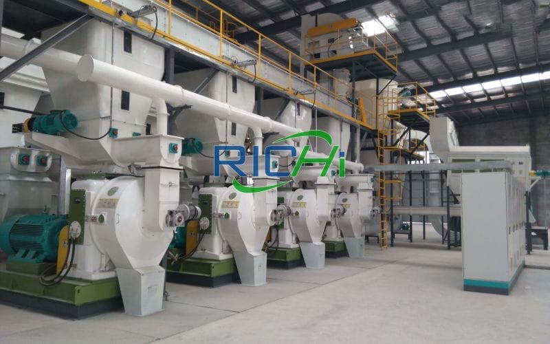 India 10T/H biomass fuel project was successfully put into production