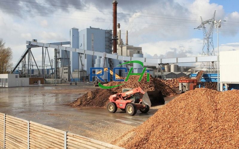 10-12 T/H Biomass Pellet Production Line in Thailand