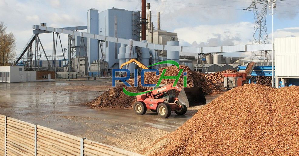 10-12 T/H Biomass Pellet Production Line in Thailand
