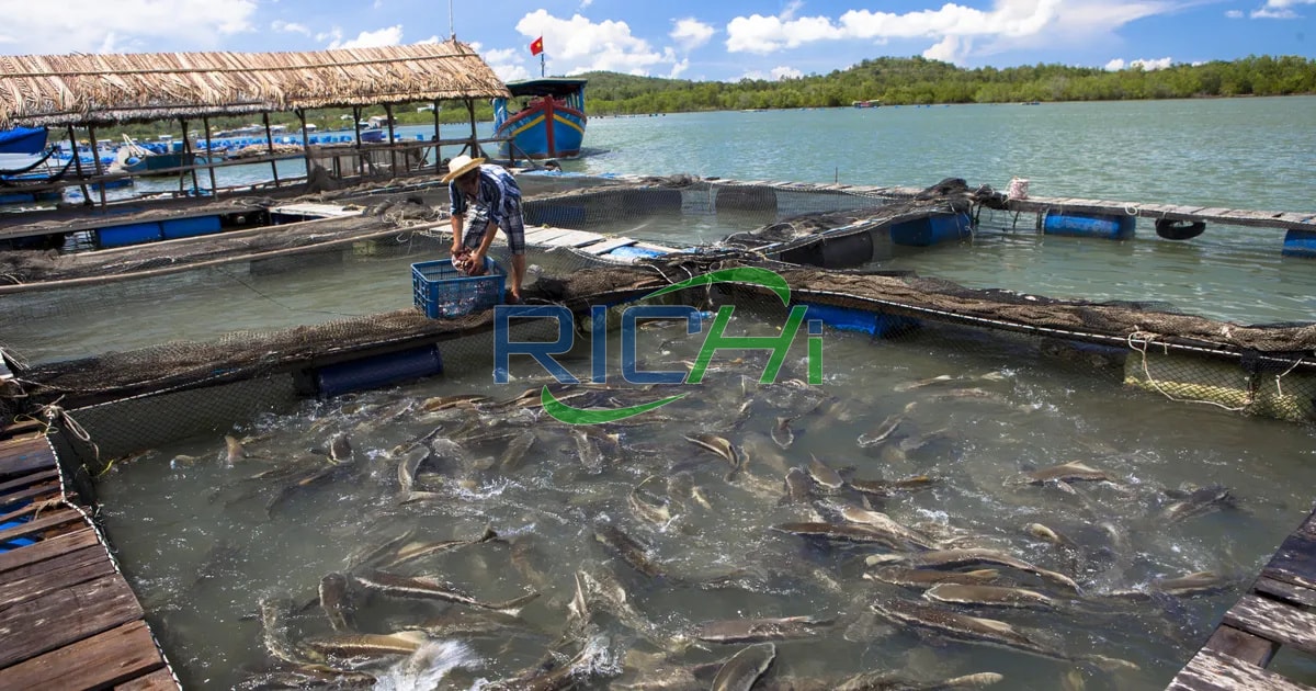 Starting fish feed processing line in Vietnam
