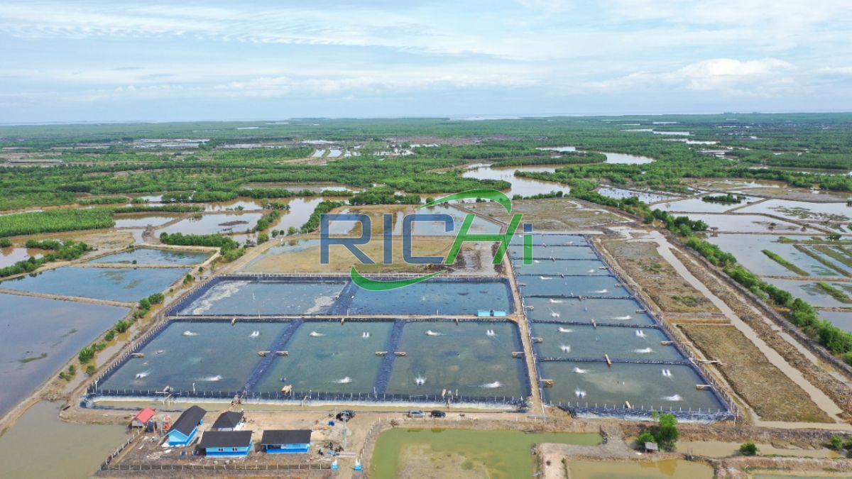 Starting fish feed mill plant and shrimp feed plant in Indonesia