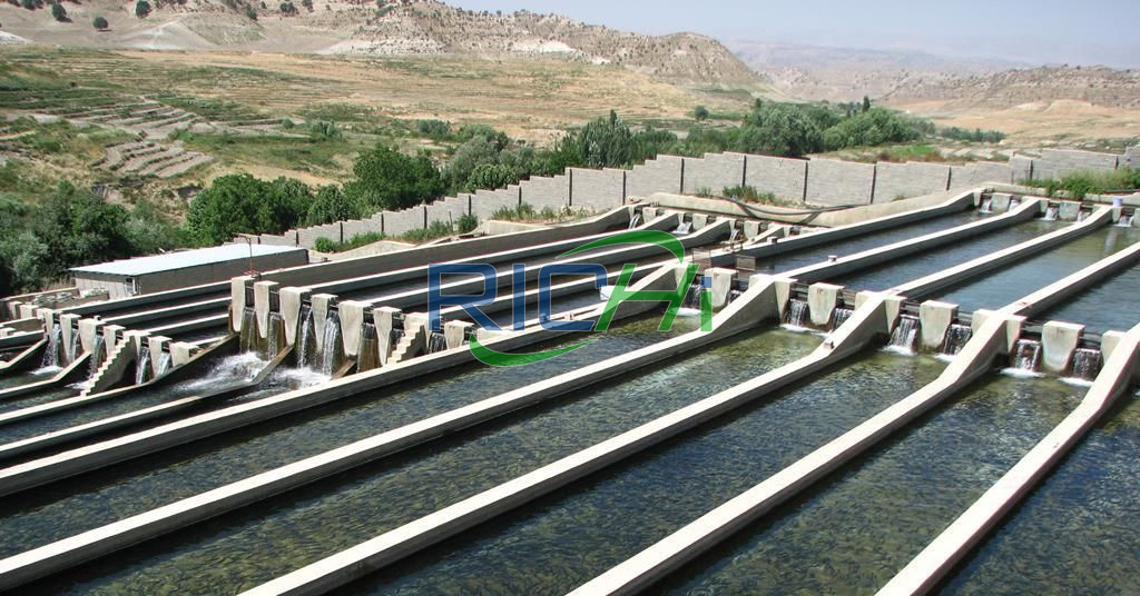 build floating fish aqua feed plant in Iran