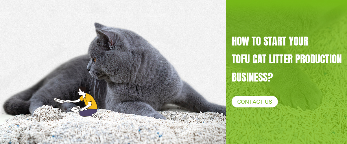 how to start Tofu cat litter production line