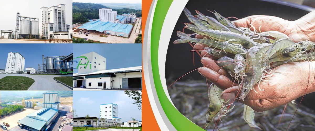 Applications Of Shrimp Feed Pellet Production Line
