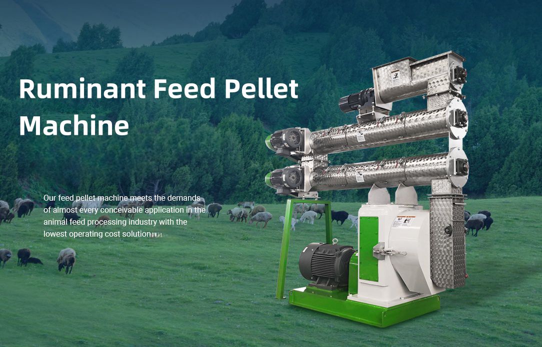 Ruminant Feed Pellet Machine Cost