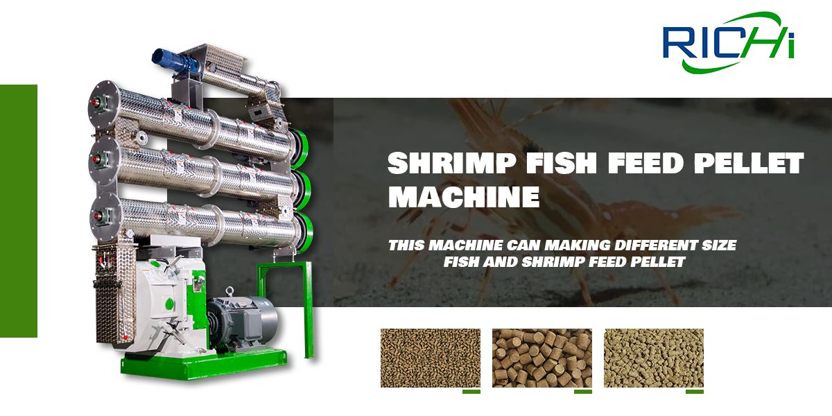 Shrimp Feed Pellet Machine