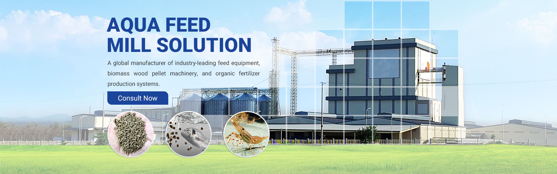 Features Of Aquatic Fish Feed Production Line