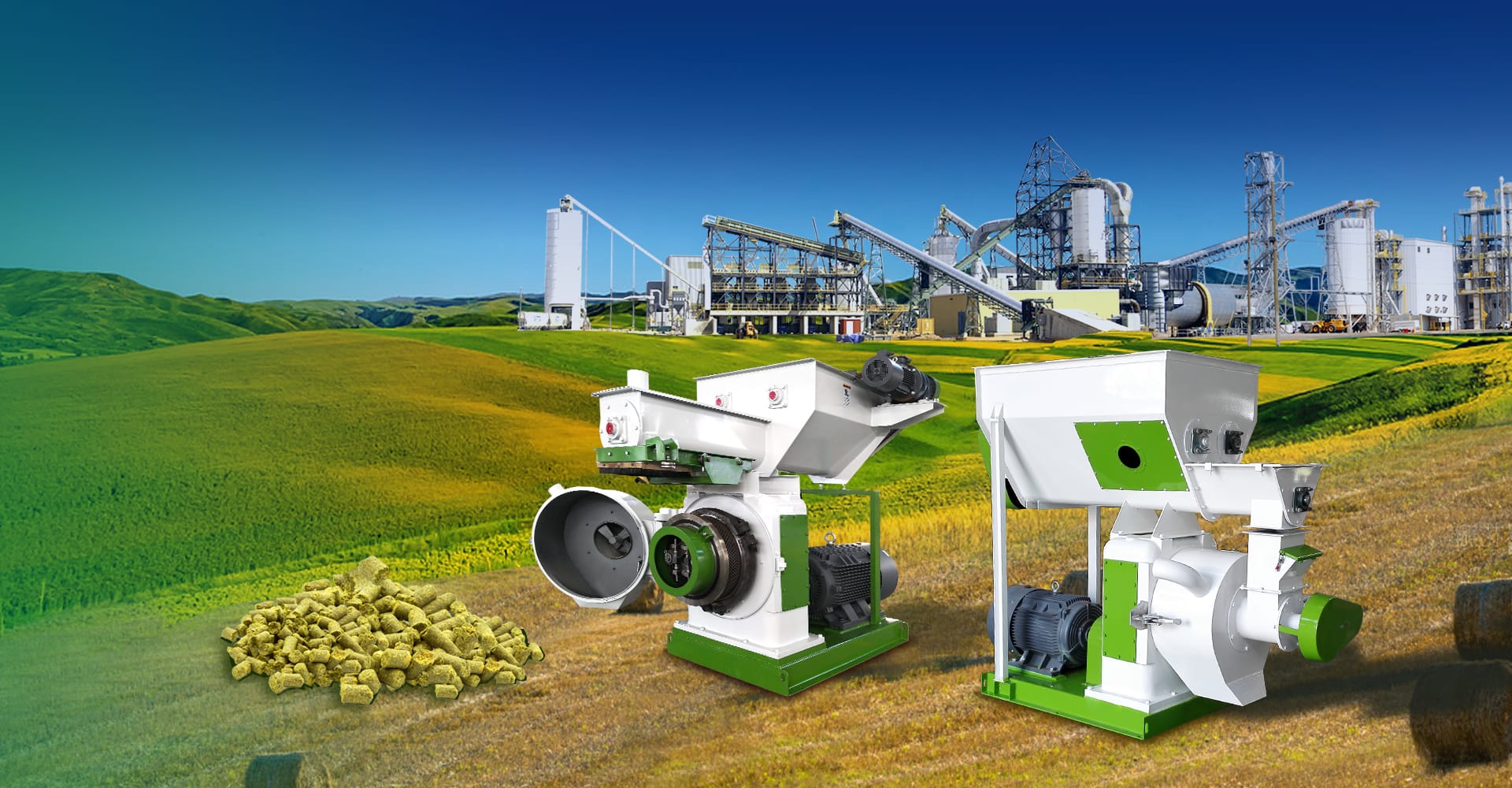 Sugarcane Bagasse Pellet Machine