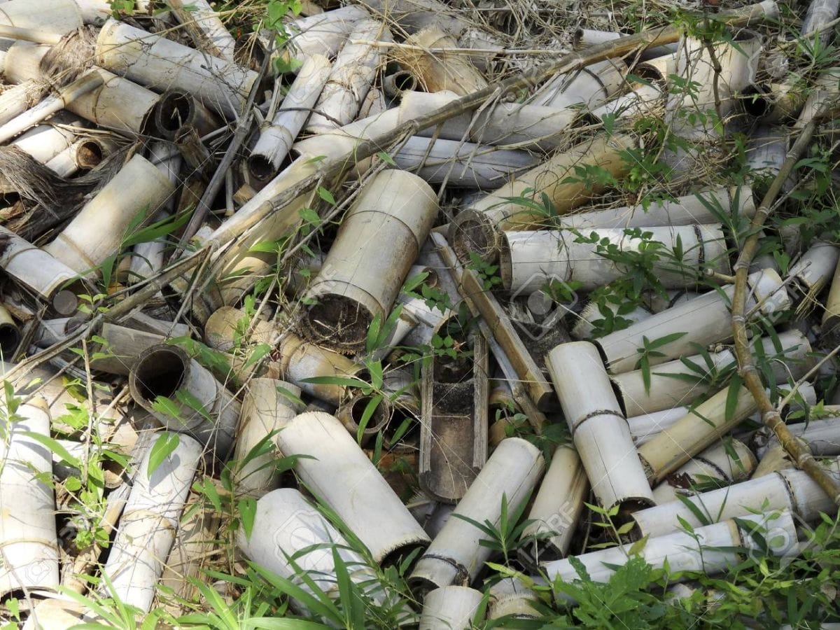 bamboo waste