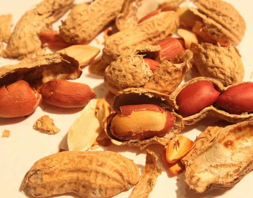 Why make pellets from peanut shell