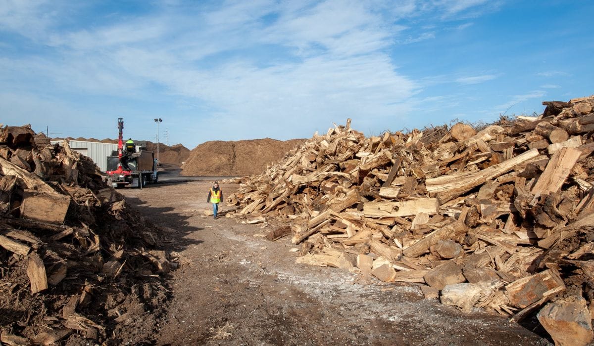wood waste