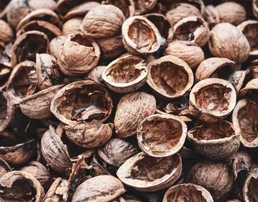 turn biomass into pellets