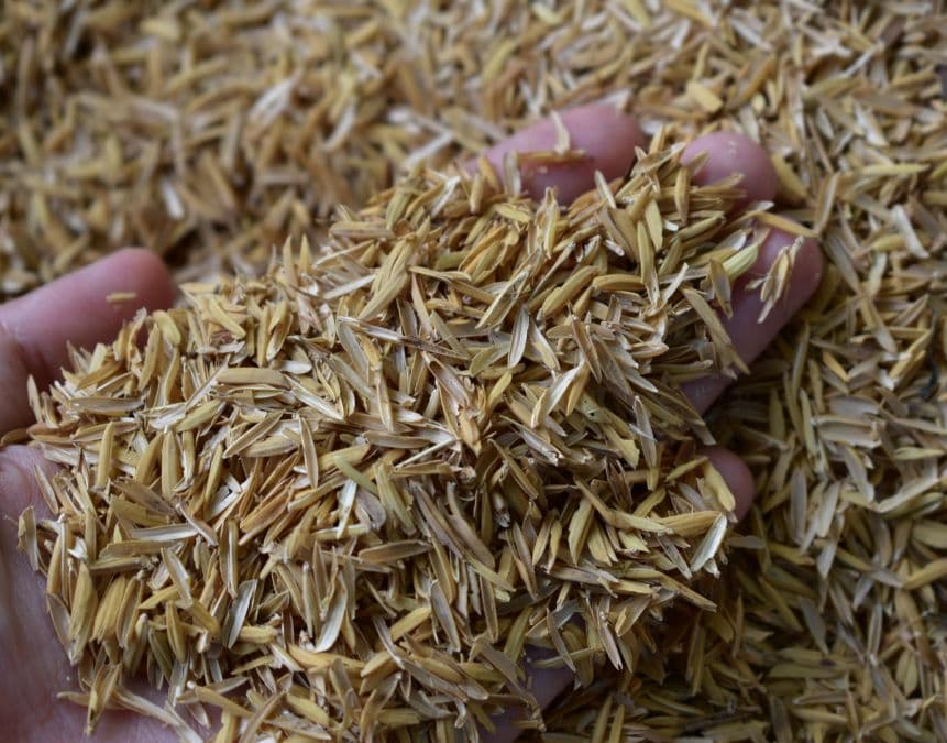 turn biomass into pellets