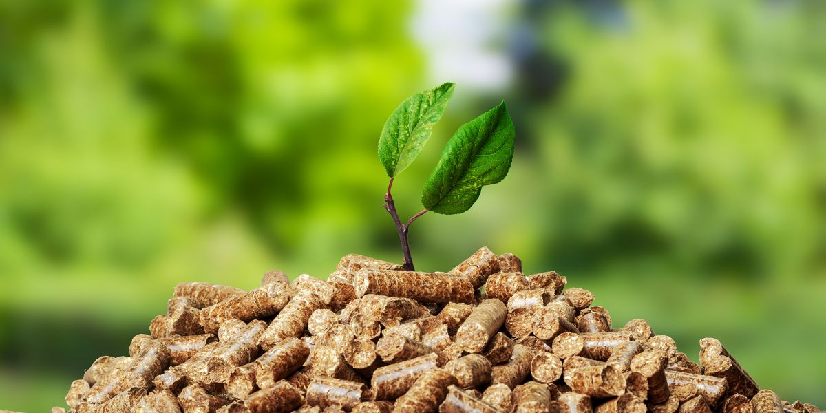 biomass pellet