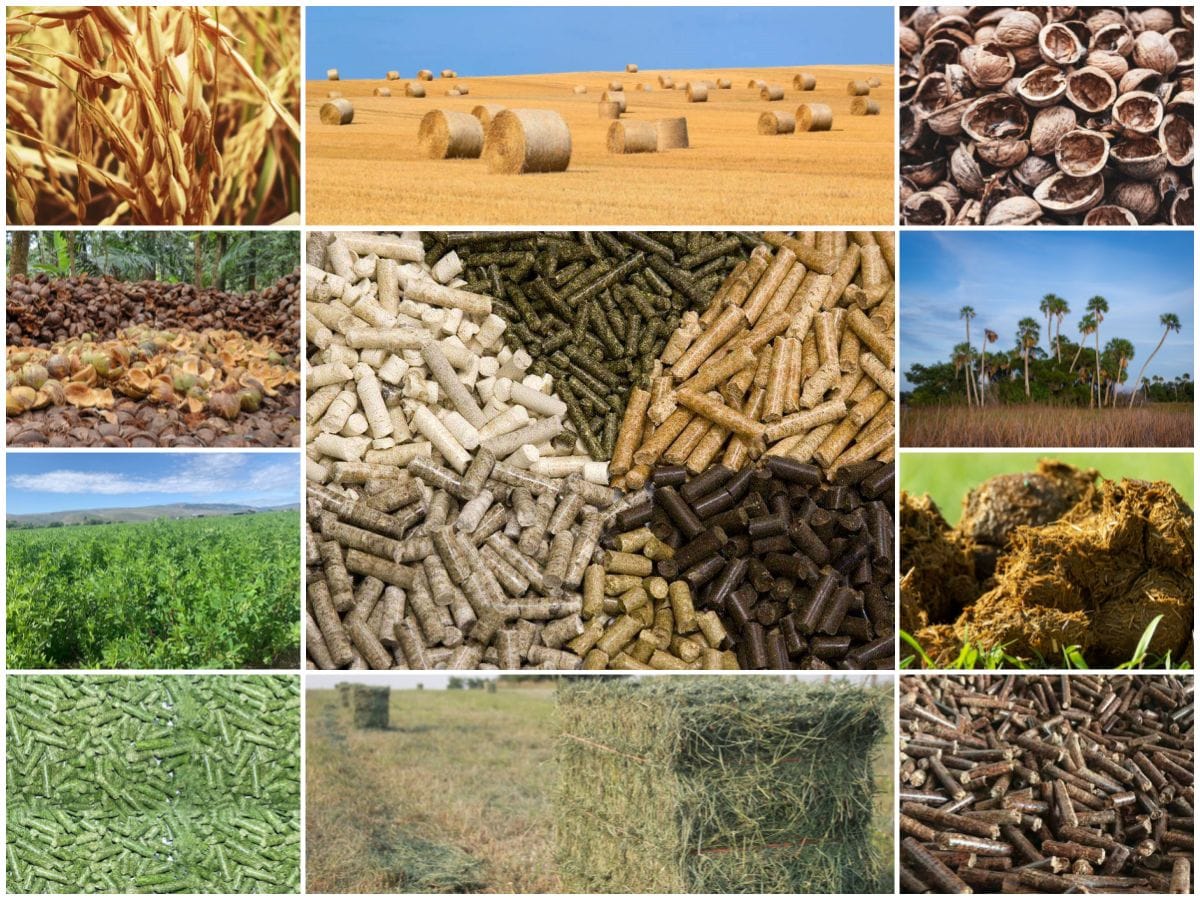 The prospect of biomass pellet mill