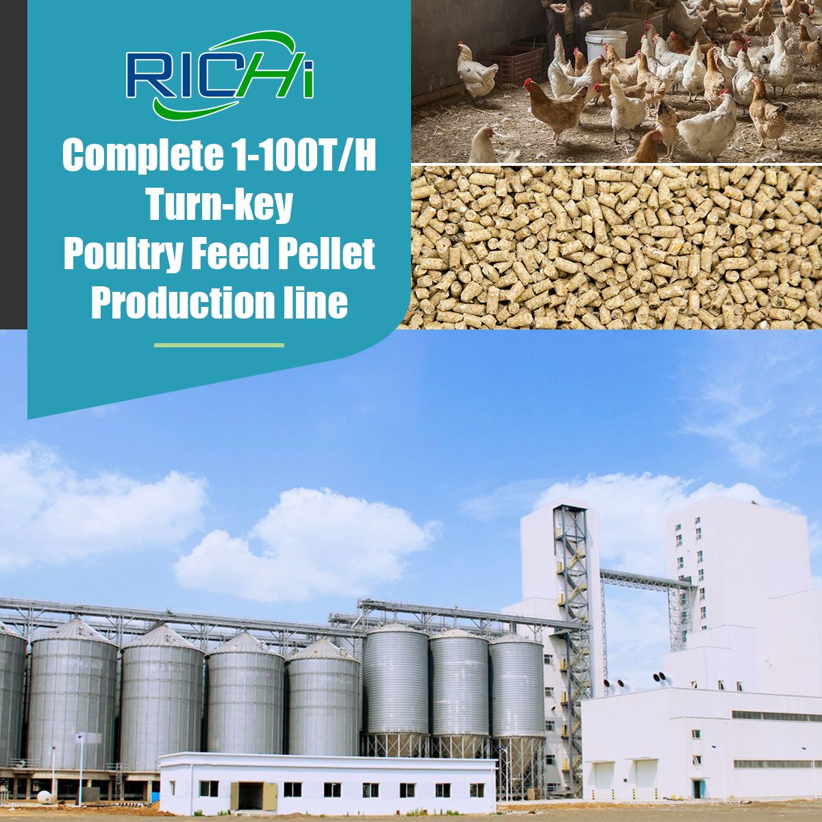 Poultry Feed Production Line