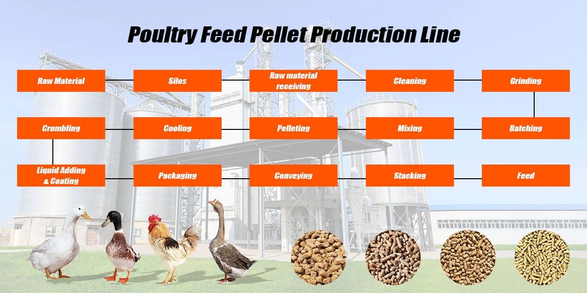 Process design Of Poultry Feed Production Line