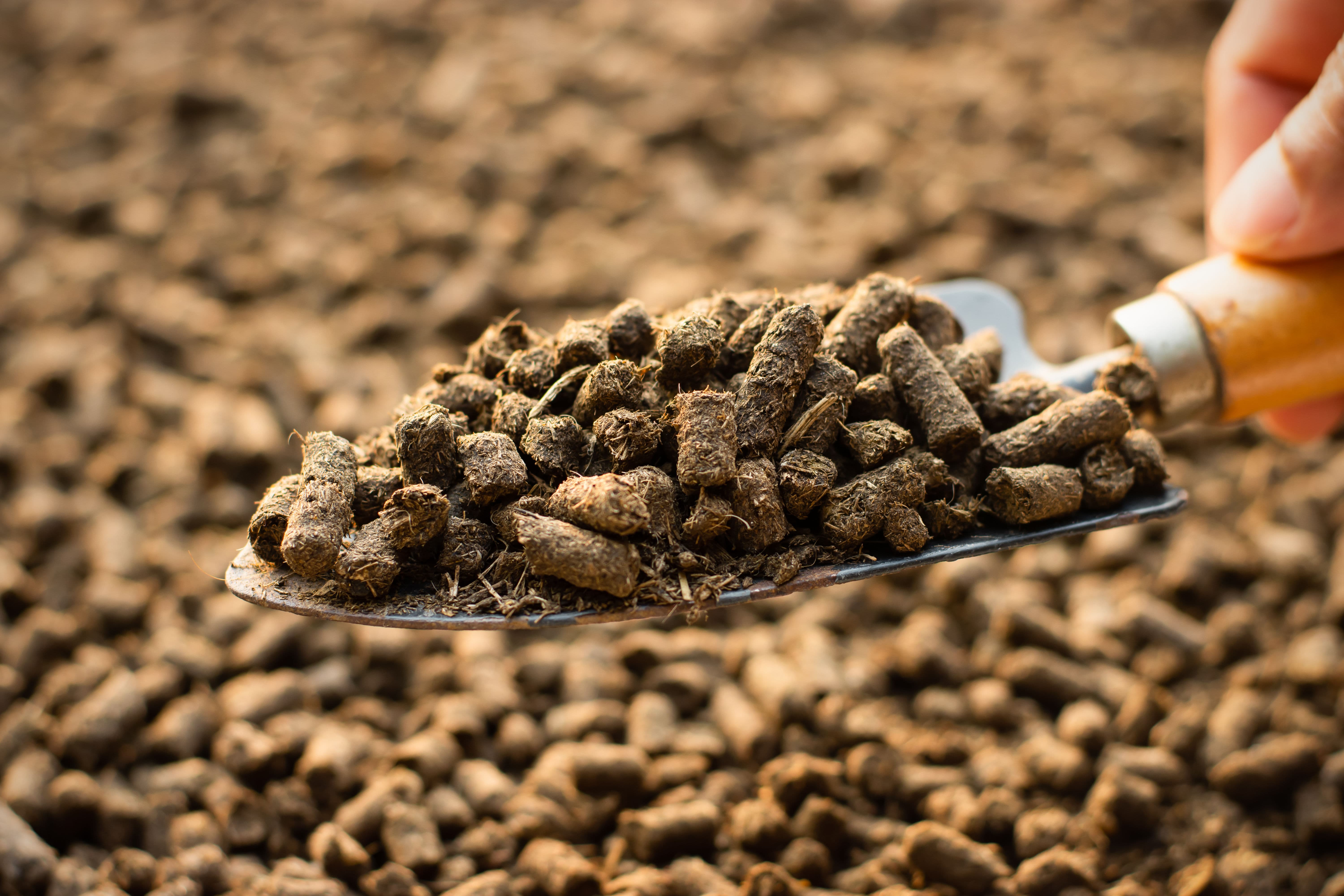 organic fertilizer pellets