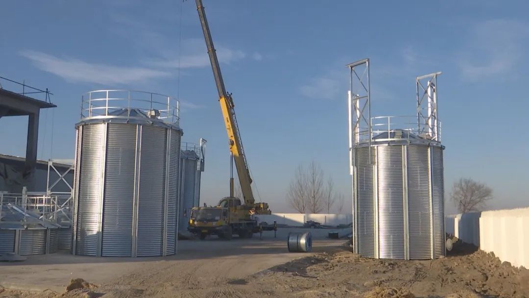 New Zealand 20,000 T/A Additive Premix Feed Mill Project Started