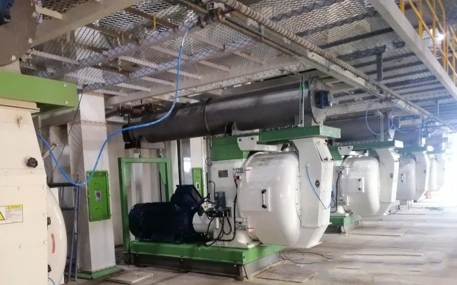 Kazakhstan 20-30 T/H Feed Factory Project Has Been Successfully Commissioned