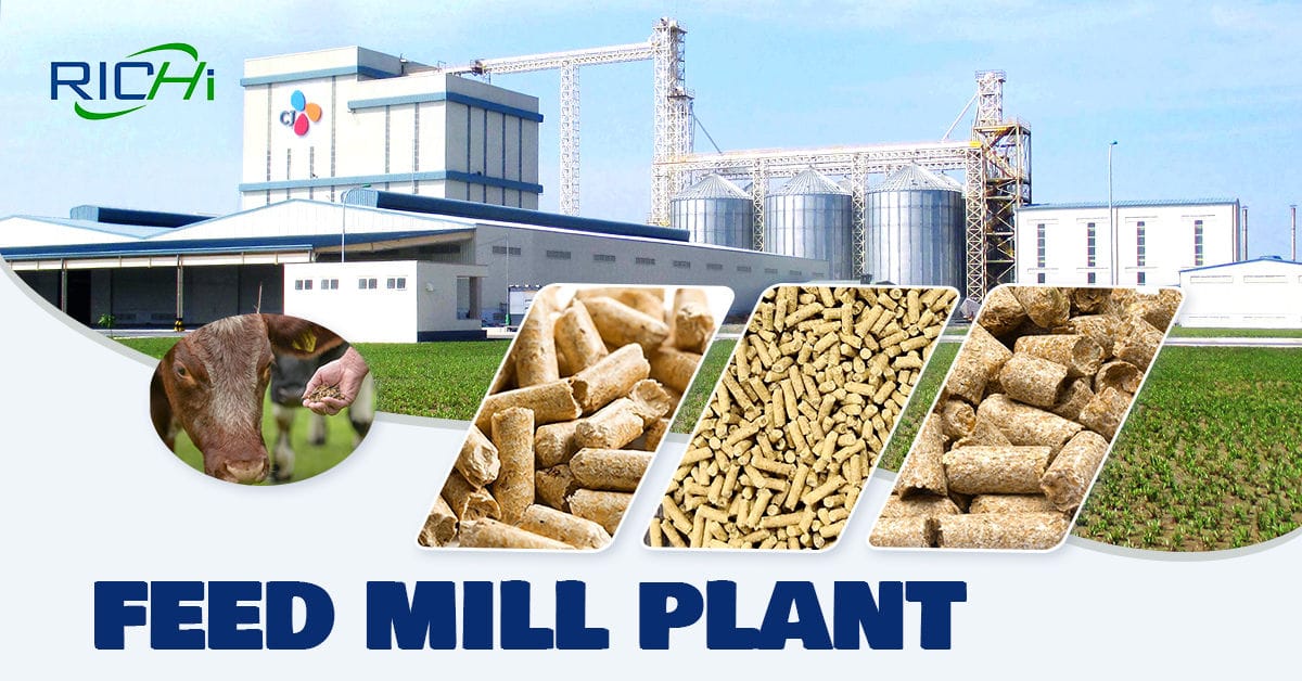how to build cattle feed production line