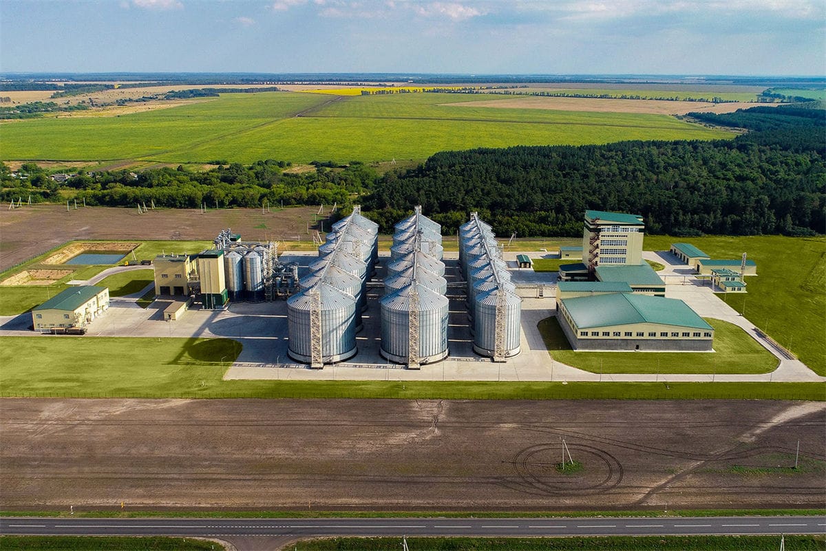 pig feed business plan