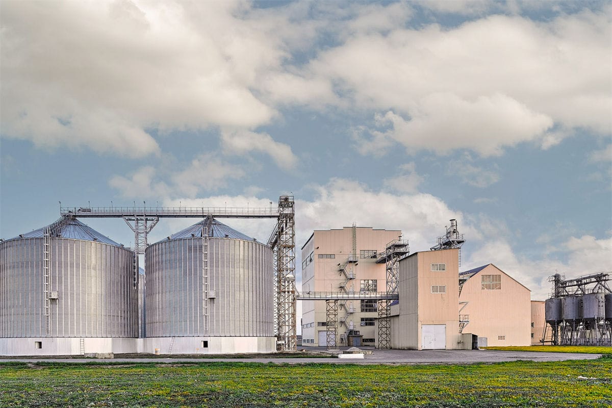 chicken feed line for sale