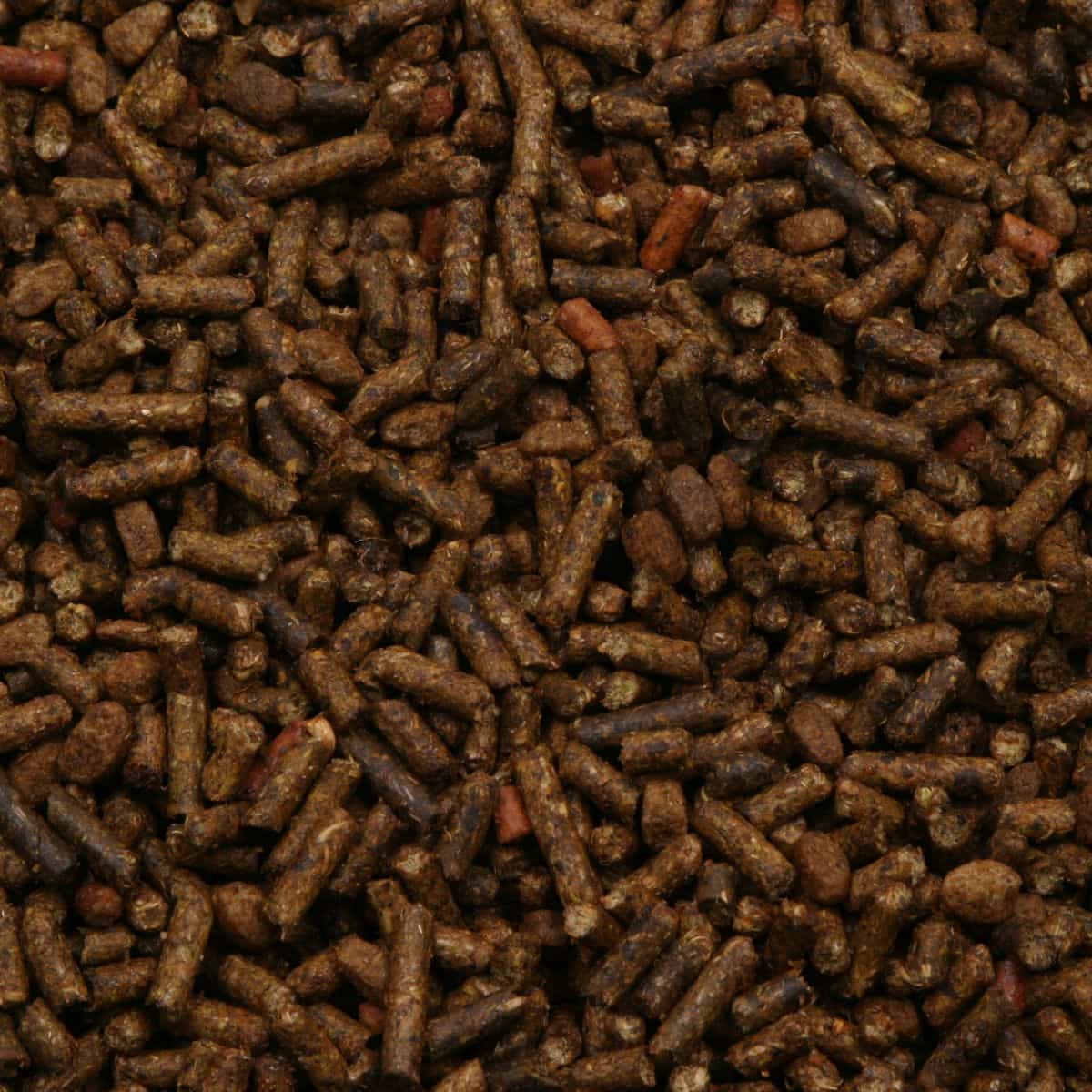 Livestock Feed Pellet