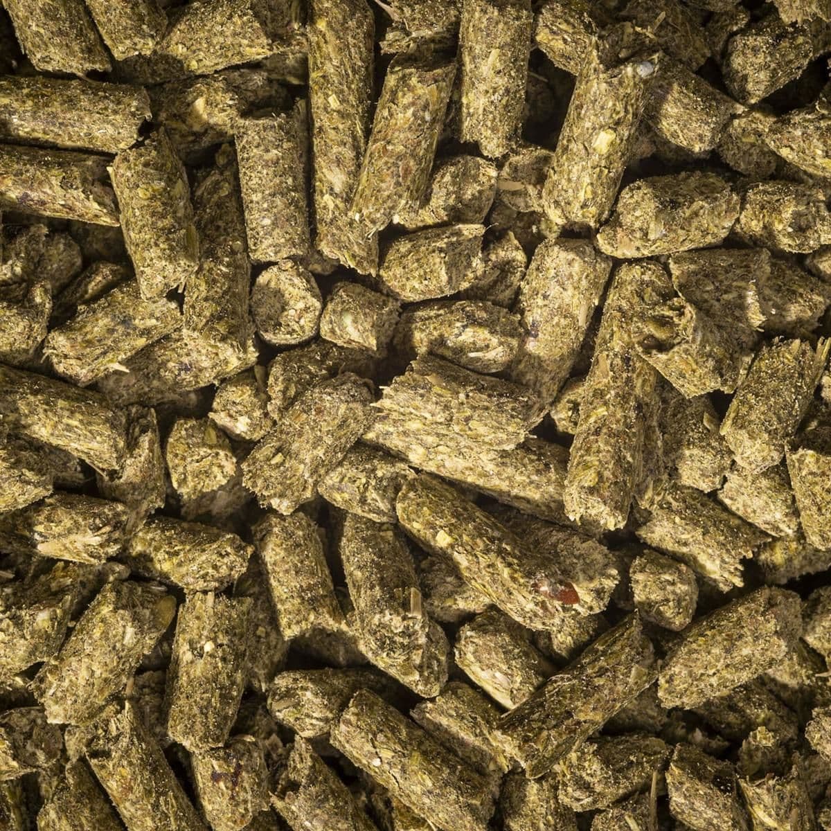 Livestock Feed Pellet