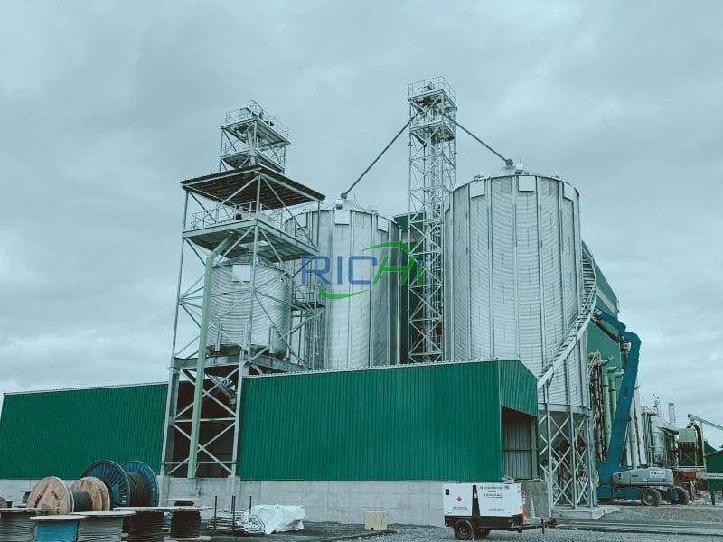 Wood Sawdust Pellet Machine Plant For Cat Litter in Russia