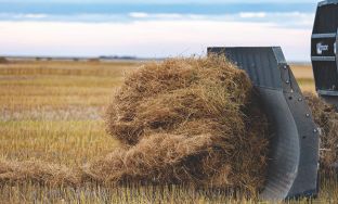 flax straw
