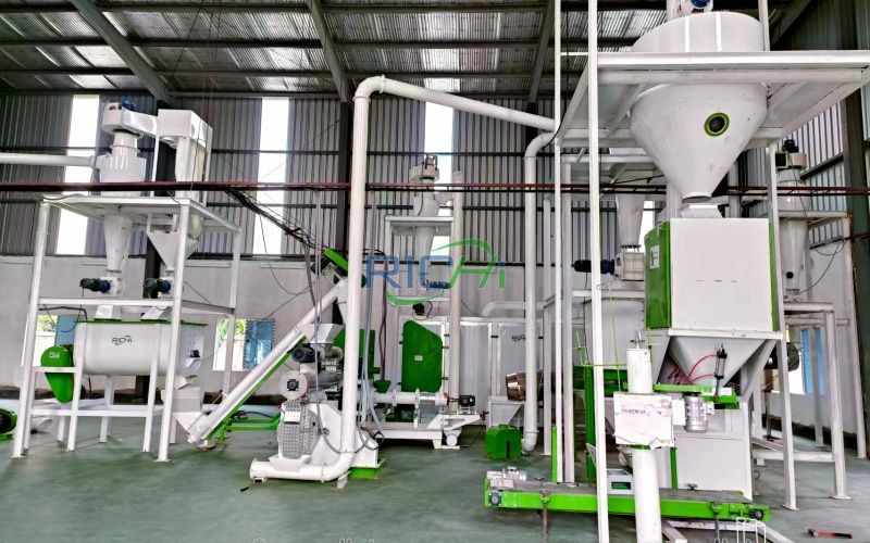 0.5T/H Fish Feed Processing Line in Bangladesh
