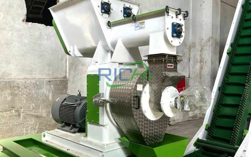 10T/H Chicken Manure Pelletizer in USA