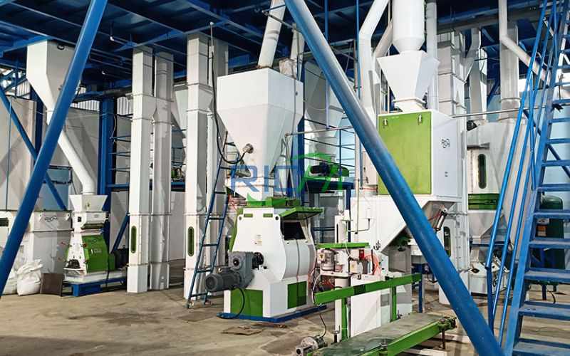 5 Tons/Hour Sinking Fish Feed Making Plant In the Philippines