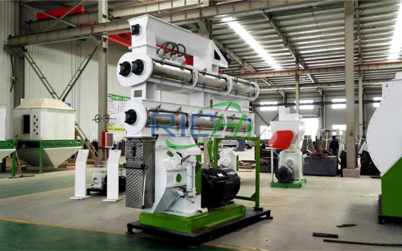 5-6T/H Cattle Feed Pelletizer Machine in Morocco