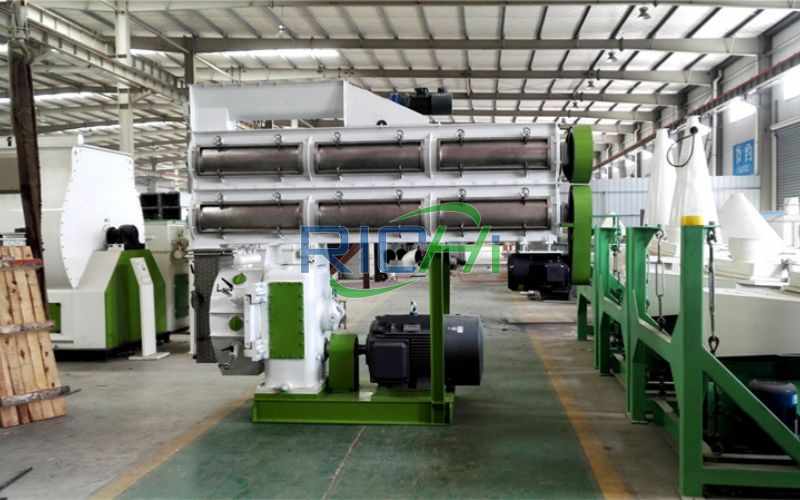 5–6 T/H Cattle Feed Pelleting Machine in France