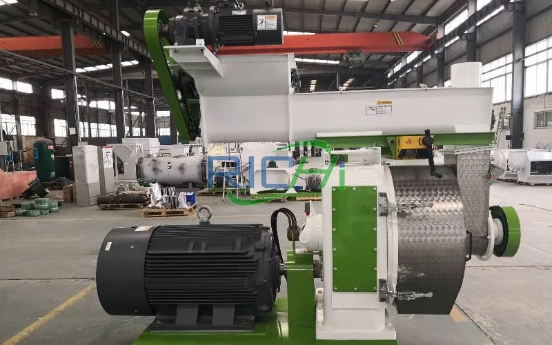 1-1.5T/H Chicken Manure Recycling Pellet Machine in Austria
