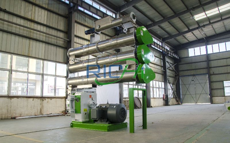 1 T/H Shrimp Feed Pellet Machine in Mexico